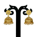Traditional Gold Plated Designer Jhumka Earring
