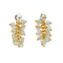 Trendy Gold Plated Crystal Drop Earrings