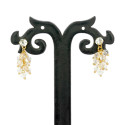 Trendy Gold Plated Crystal Drop Earrings