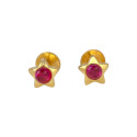 Twinkling Star Gold Plated Second Studs